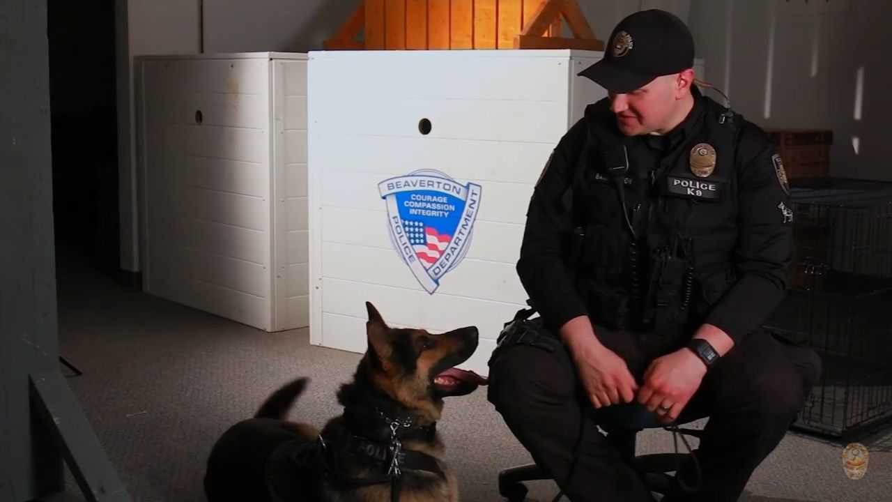 Officer Matt Barrington and K-9 Atlas. (Courtesy: Beaverton Police Department)