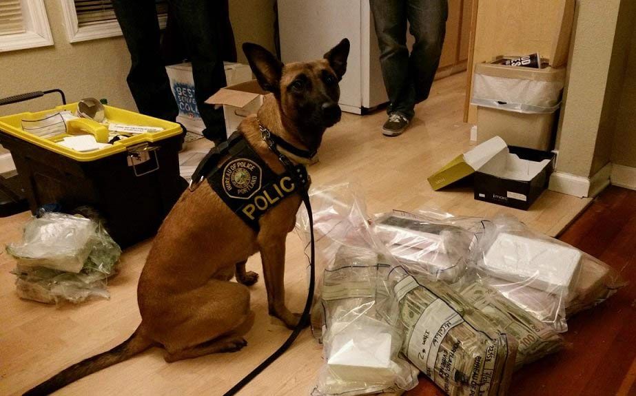 Major metro area drug bust leads to 1.5 million in cocaine, 15 KPTV