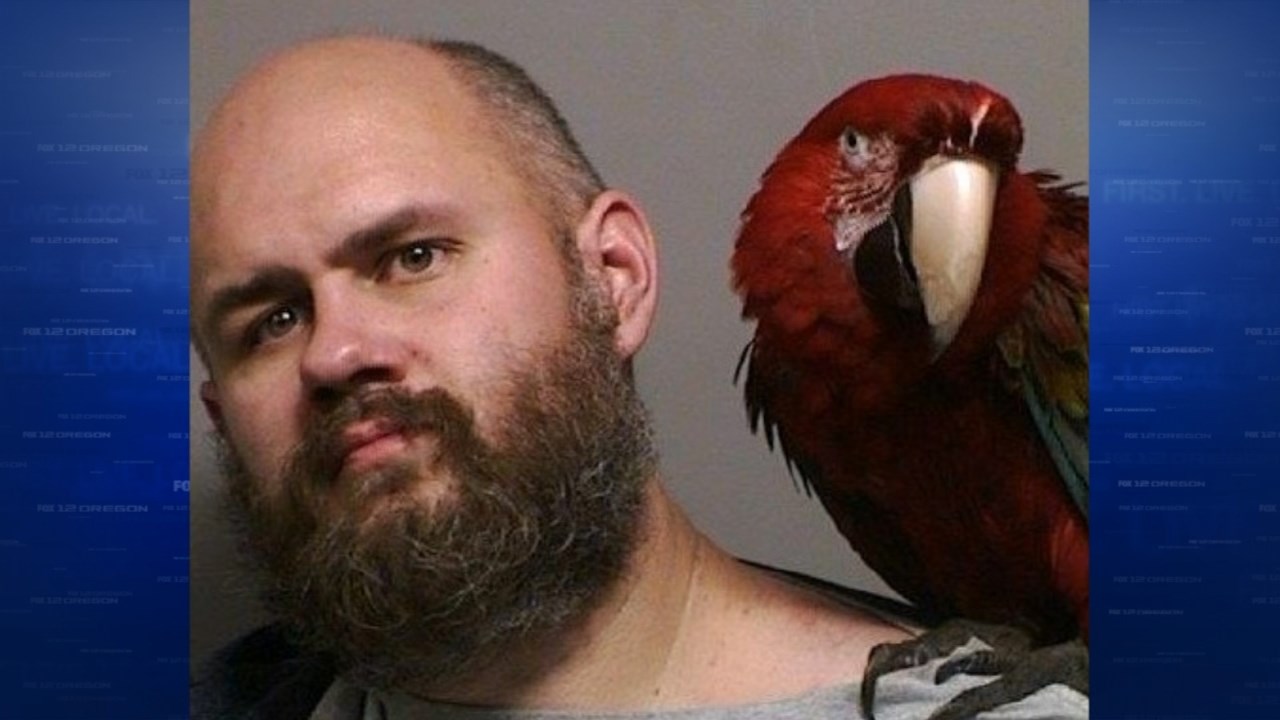Man appears in mugshot with companion parrot after bringing it to court