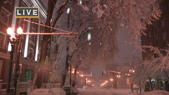 Snowy tree falls on car in downtown Portland