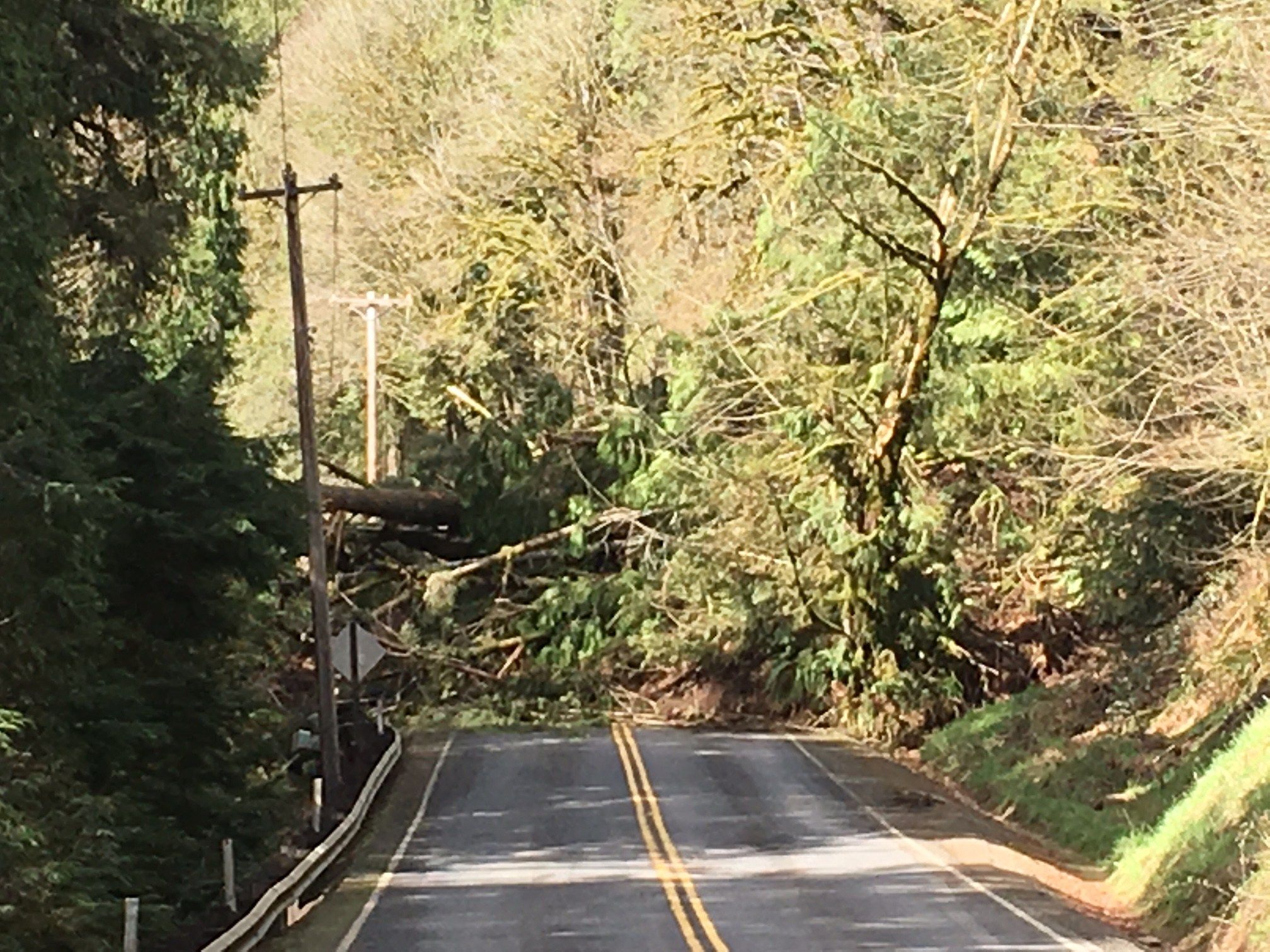 The landslide covering Kalama River Road.