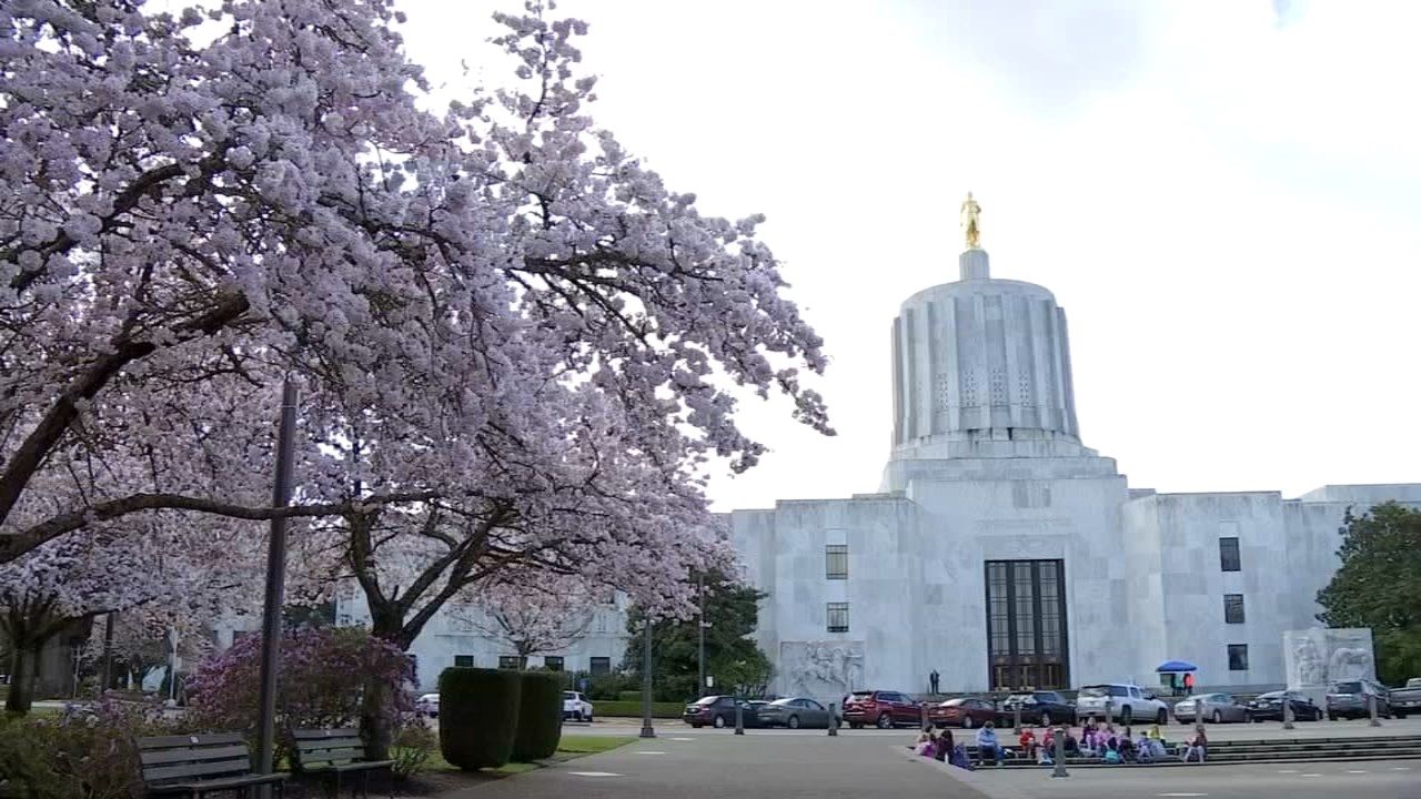 Portland or news weather traffic sports oregon kptv fox 12