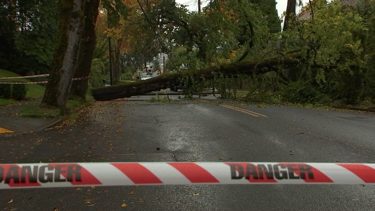 Portland or news weather traffic sports oregon kptv fox 12