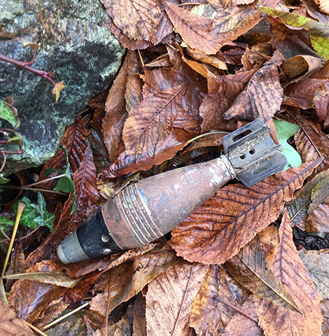 Image result for live mortar shell found in oregon