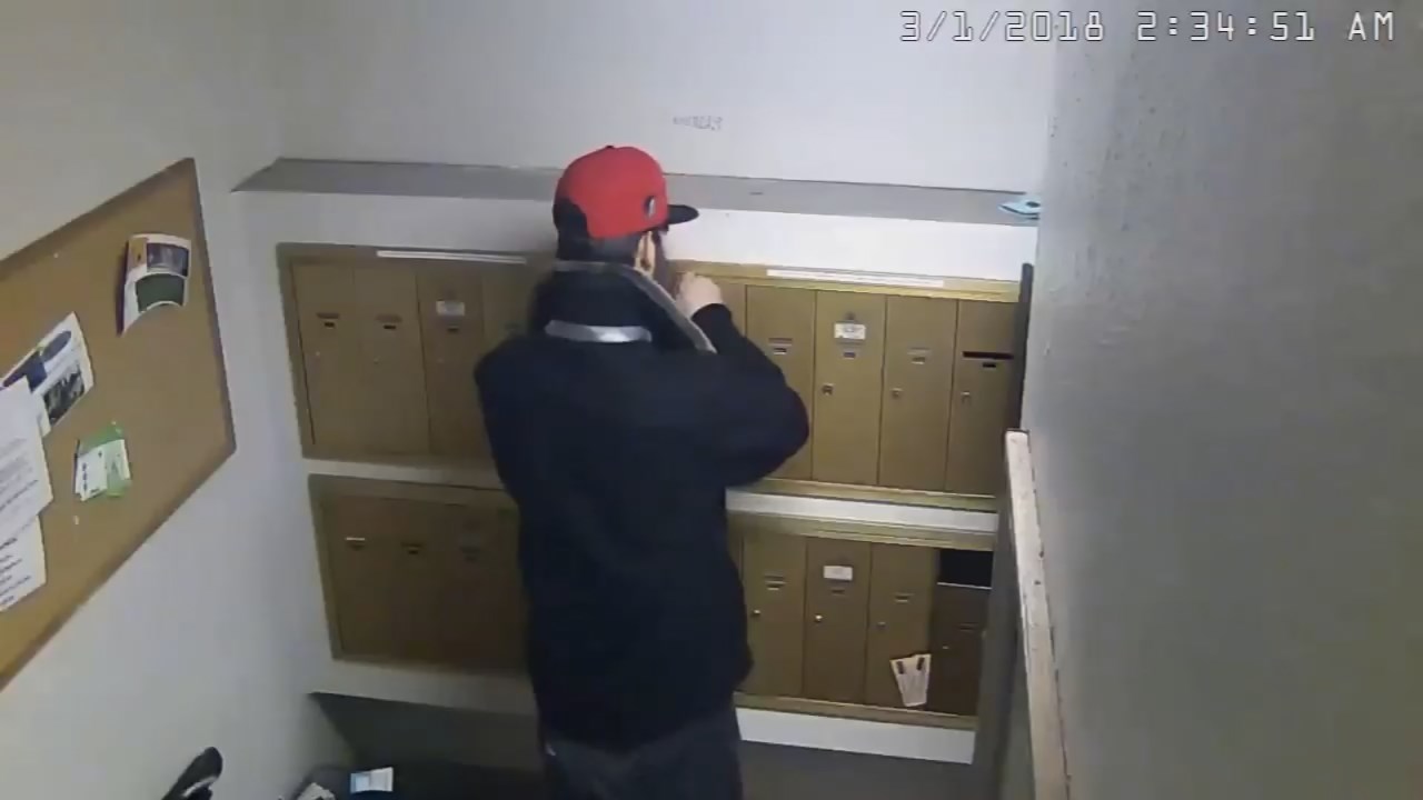 Thief Caught On Camera Breaking Into Mailboxes At Nw Portland Ap Kptv