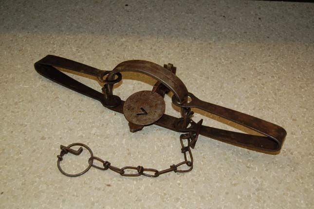 Reward offered for illegal trap that caught raccoon - KPTV - FOX 12