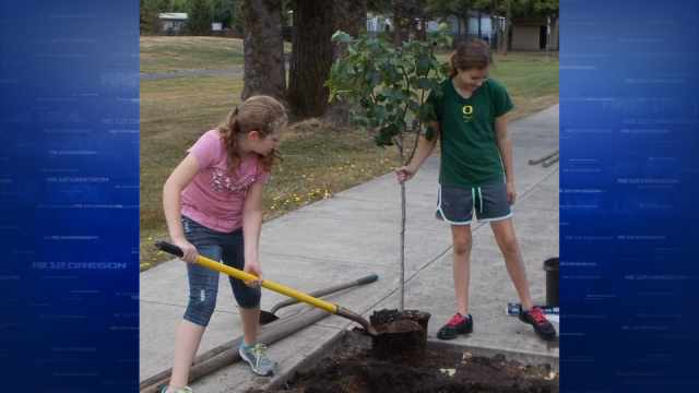 Teen Center Members Damage 110