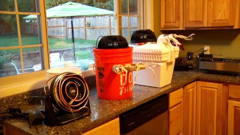 Struggling to beat the heat? Try a DIY air conditioner - KPTV - FOX 12