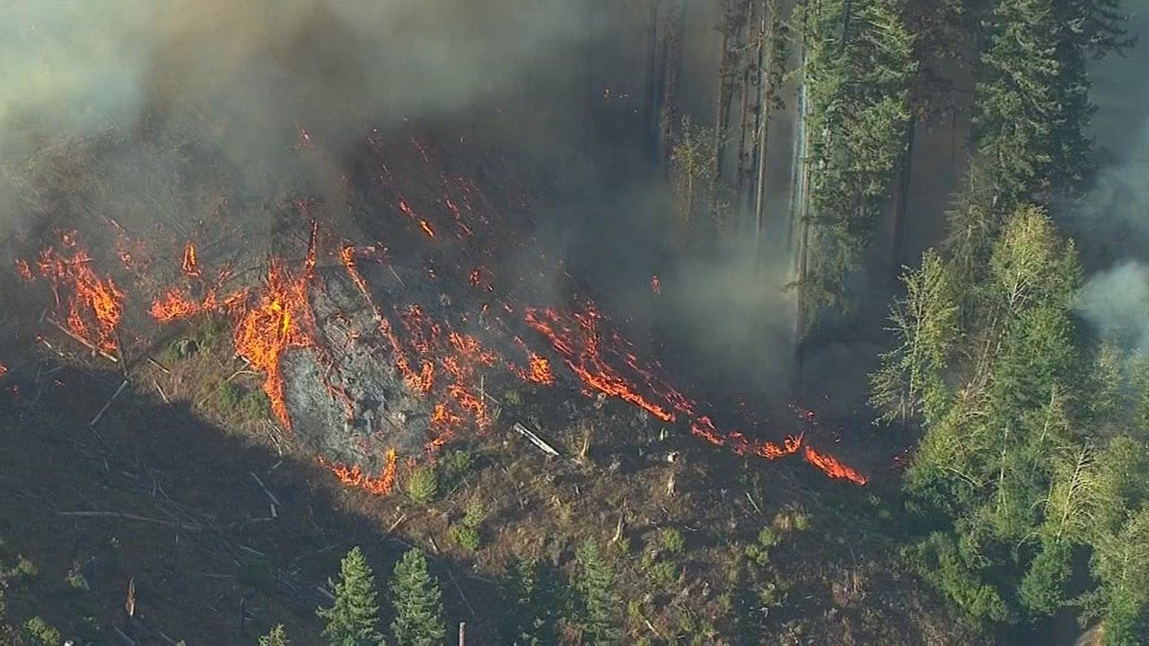 Firefighters battle wildfire on ODF land in Yamhill County KPTV FOX 12